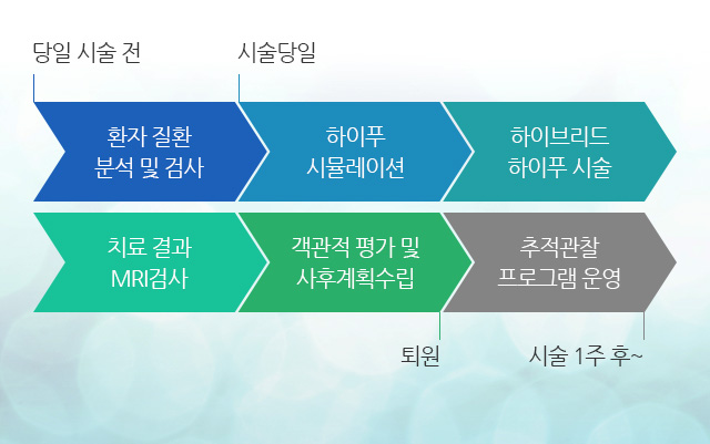 환자질환 분석 및 검사 하이푸 시뮬레이션 하이브리드 하이푸 시술 치료 결과 MRI검사 객관적 평가 및 사후계획수립 추적관찰 프로그램 운영